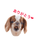 まるみのきもち2（個別スタンプ：13）