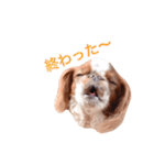 まるみのきもち2（個別スタンプ：15）
