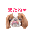 まるみのきもち2（個別スタンプ：19）