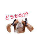 まるみのきもち2（個別スタンプ：23）