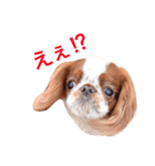 まるみのきもち2（個別スタンプ：30）