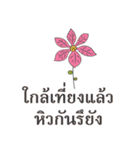 Sawasdee Thai Flowers for group（個別スタンプ：23）