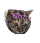ティトゥーと弟妹2（個別スタンプ：19）