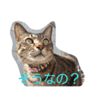 ティトゥーと弟妹2（個別スタンプ：26）