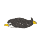 Ennui Penguin sticker（個別スタンプ：14）