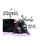 I proud of my cats 2017（個別スタンプ：11）