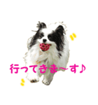 nika.family.animal（個別スタンプ：1）