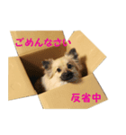 nika.family.animal（個別スタンプ：3）