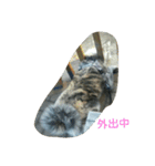 秋田犬のきなこ2日常会話（個別スタンプ：35）