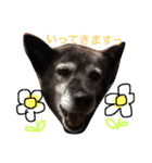 はねまるスタンプ！！（個別スタンプ：17）