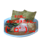毎日家系ラーメンスタンプ(其の1)（個別スタンプ：22）
