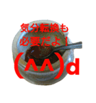 毎日家系ラーメンスタンプ(其の1)（個別スタンプ：23）