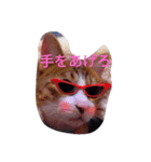シフォンさんと親父（個別スタンプ：4）