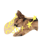 ていぺいれんさん（個別スタンプ：3）