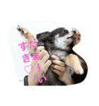 ベータだぞ！（個別スタンプ：8）