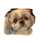 ロコちゃん（個別スタンプ：4）