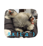 ロコちゃん（個別スタンプ：7）