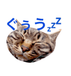 はる と なつ（個別スタンプ：1）