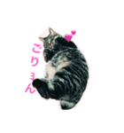 はる と なつ（個別スタンプ：3）