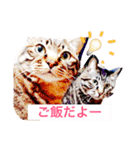 はる と なつ（個別スタンプ：7）
