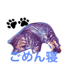 はる と なつ（個別スタンプ：8）