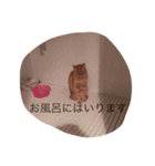 うなぎねこ（個別スタンプ：9）