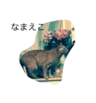 うなぎねこ（個別スタンプ：14）