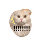 猫と犬だらけ（個別スタンプ：7）