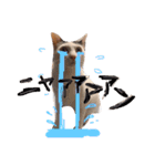 猫と犬だらけ（個別スタンプ：30）