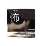 猫と犬だらけ（個別スタンプ：34）