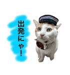 猫写真スタンプ白茶トラのもんちゃん2（個別スタンプ：2）