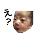 hanana_nico..（個別スタンプ：1）