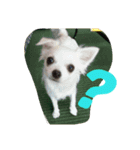 ハルすたんぷ（個別スタンプ：3）