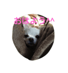 ハルすたんぷ（個別スタンプ：6）