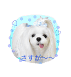 くぅちゃんファッションスタンプ（個別スタンプ：9）