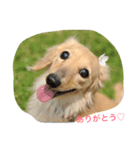 LEO＆NANA stamp（個別スタンプ：6）