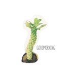 植物おじさん（個別スタンプ：1）
