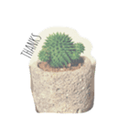植物おじさん（個別スタンプ：6）