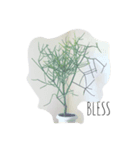 植物おじさん（個別スタンプ：7）