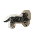 うちの猫【ぞろ】（個別スタンプ：2）