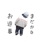 我が家のこたんぷその1（個別スタンプ：3）