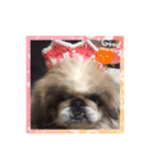 パティー第2弾（個別スタンプ：2）