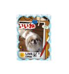 パティー第2弾（個別スタンプ：7）