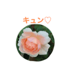 バラのおはなし（個別スタンプ：6）