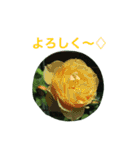 バラのおはなし（個別スタンプ：7）