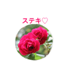バラのおはなし（個別スタンプ：12）
