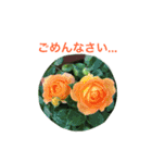 バラのおはなし（個別スタンプ：13）