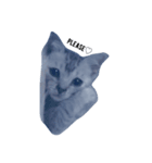 小倉猫（個別スタンプ：4）