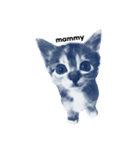 小倉猫（個別スタンプ：7）