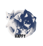 小倉猫（個別スタンプ：11）